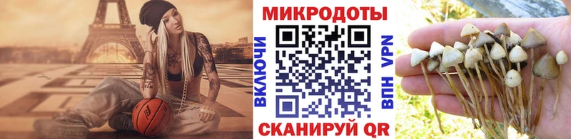 Галлюциногенные грибы ЛСД  Вяземский 